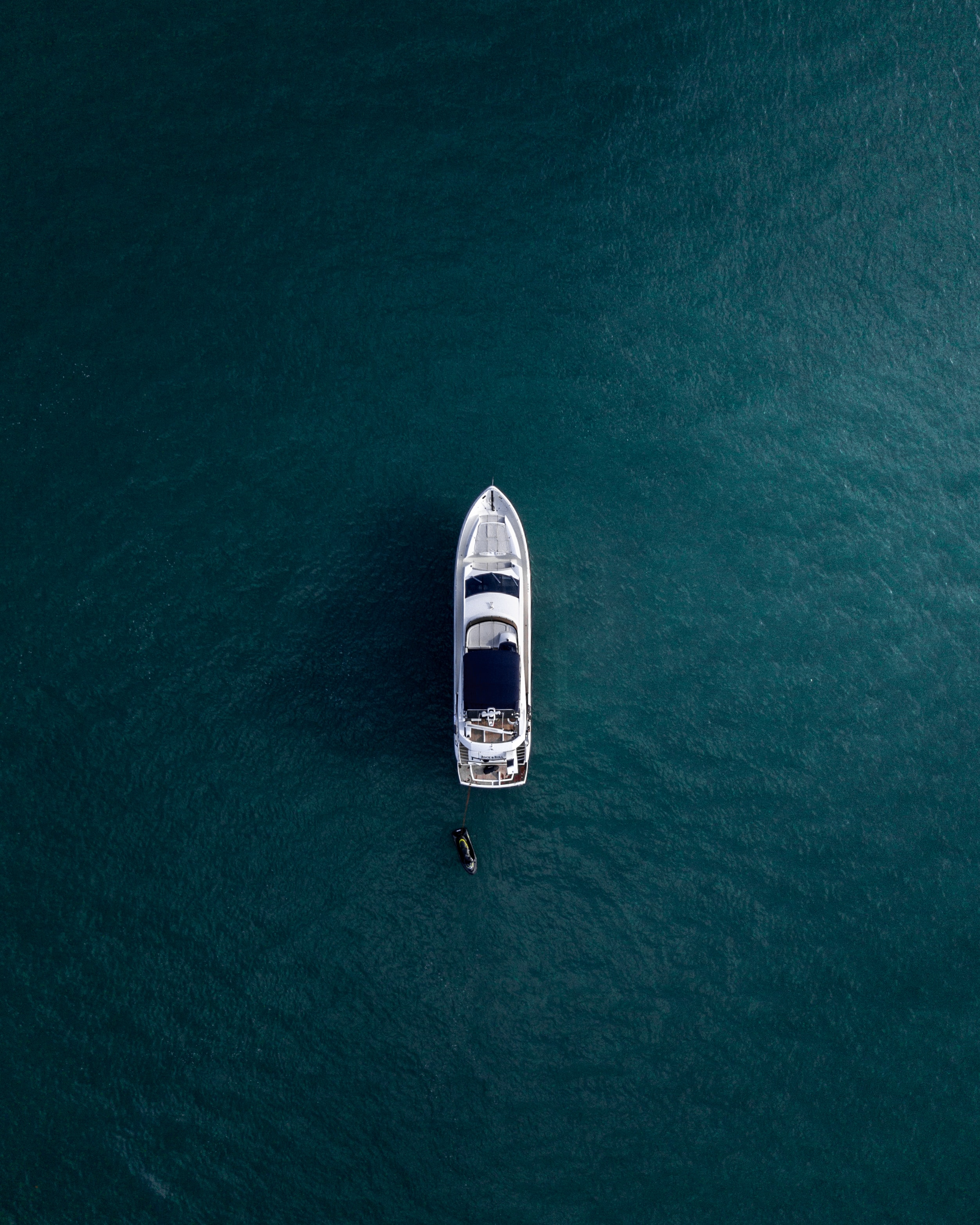 Harbor Guardian